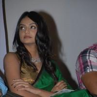 Nikitha Narayana In Its My Love Story Audio Launch - Stills | Picture 90677